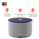 Яндекс станция Мини 3 Про, серого цвета