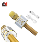 Микрофон-Караоке Hoco Bk3, золотистый