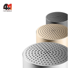 Xiaomi Портативная колонка Speaker Mini XMYX02YM, золотистый